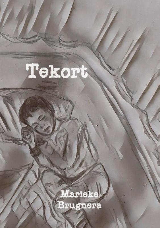 Omslag van Tekort