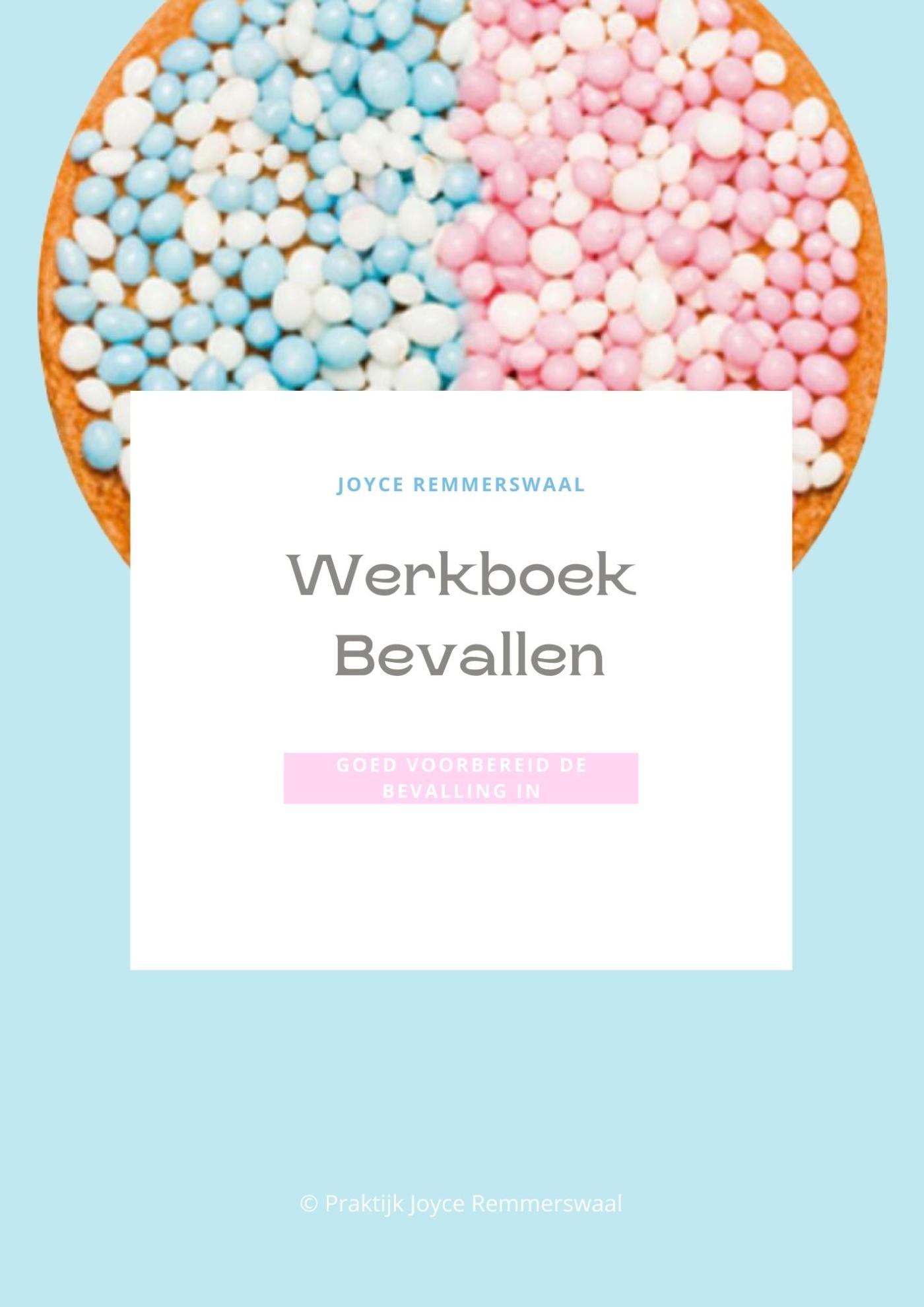 Omslag van Werkboek Bevallen
