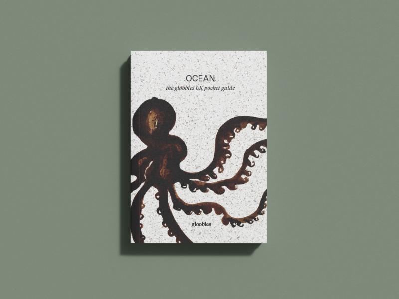 Omslag van OCEAN the gloobles UK pocket guide