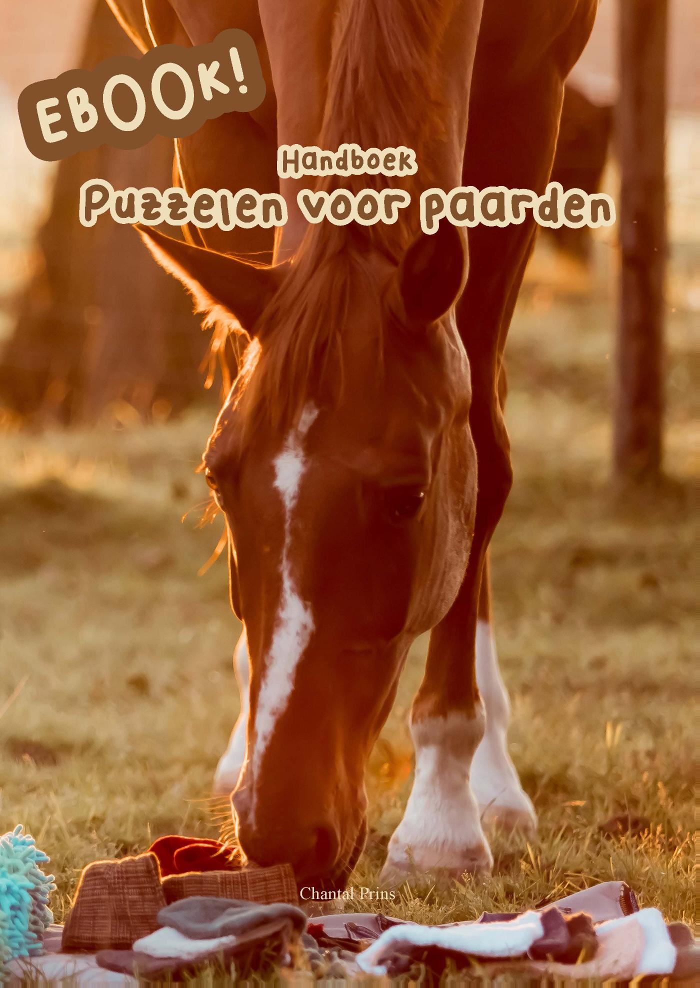 Omslag van Puzzelen voor Paarden