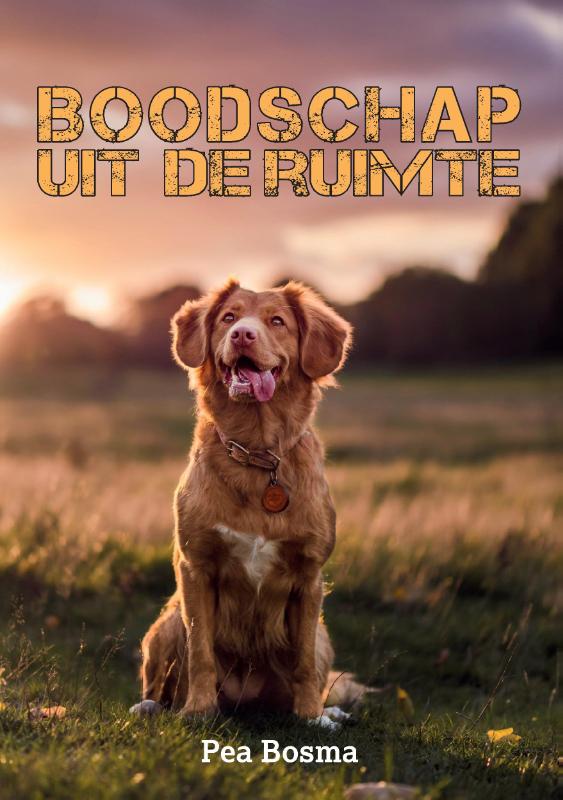 Omslag van Boodschap uit de Ruimte