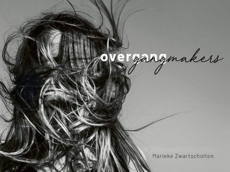 Omslag van Overgangmakers