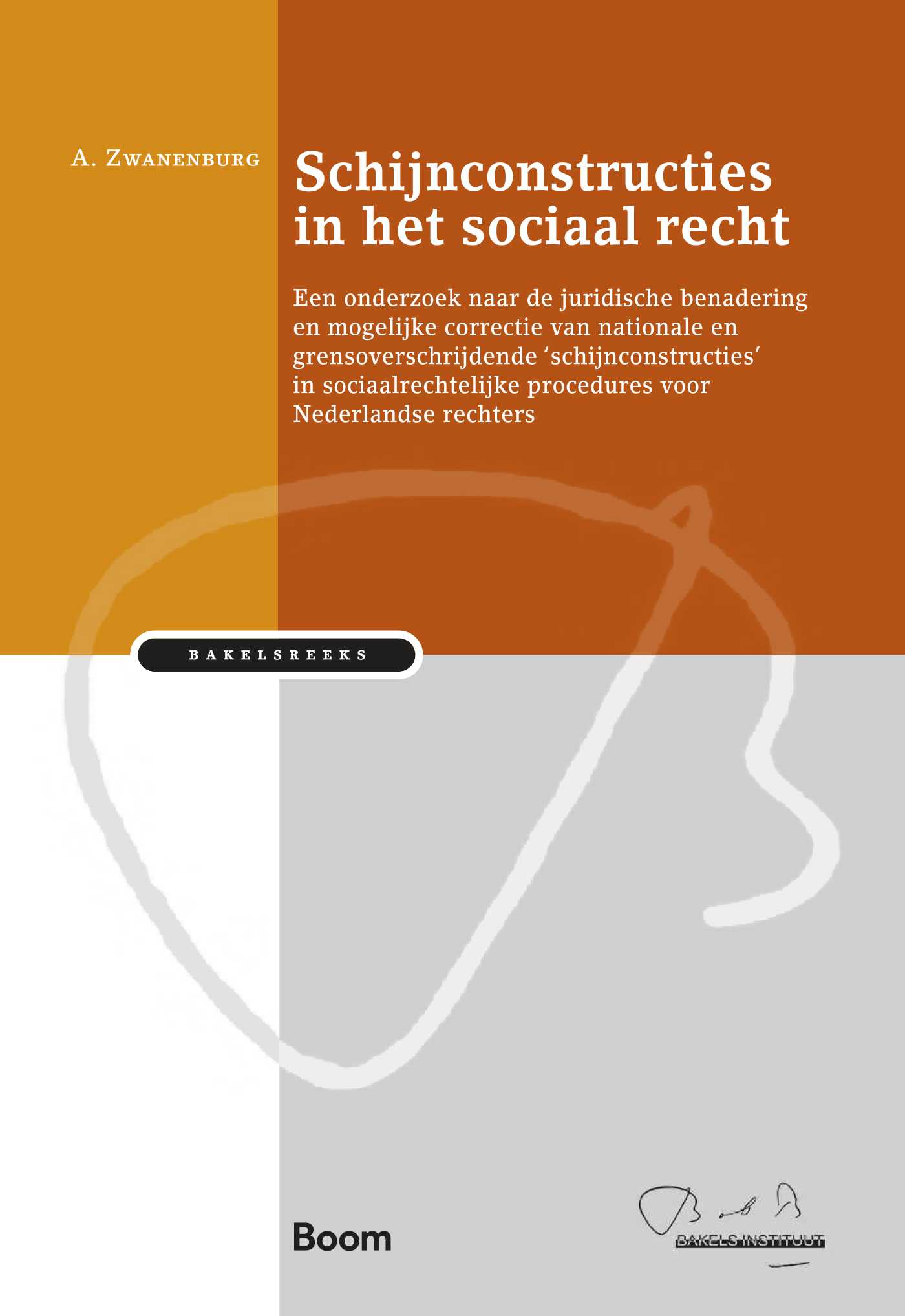 Omslag van Schijnconstructies in het sociaal recht