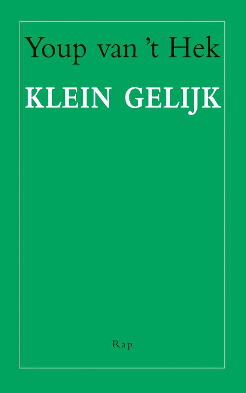 Omslag van Klein gelijk