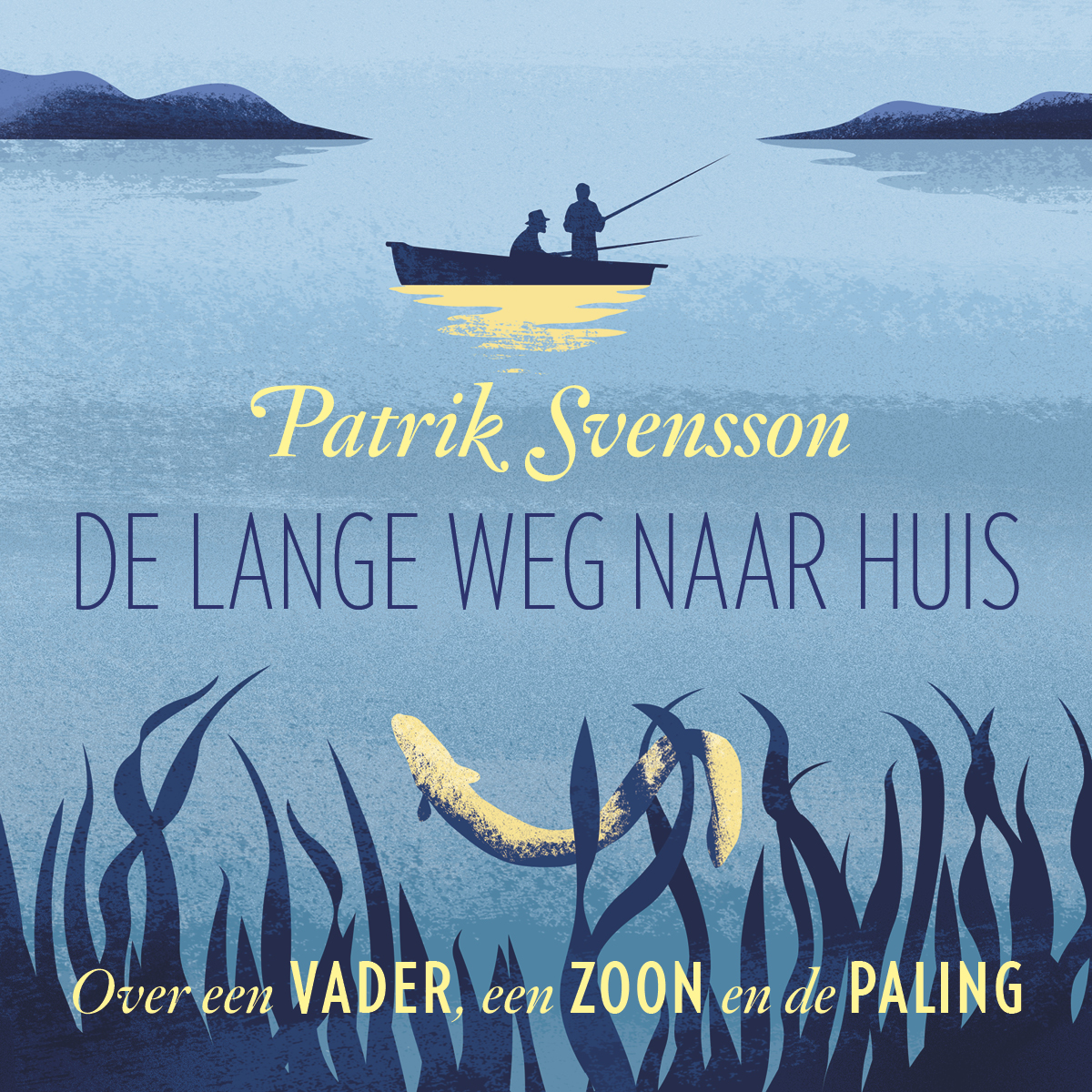 Omslag van De lange weg naar huis