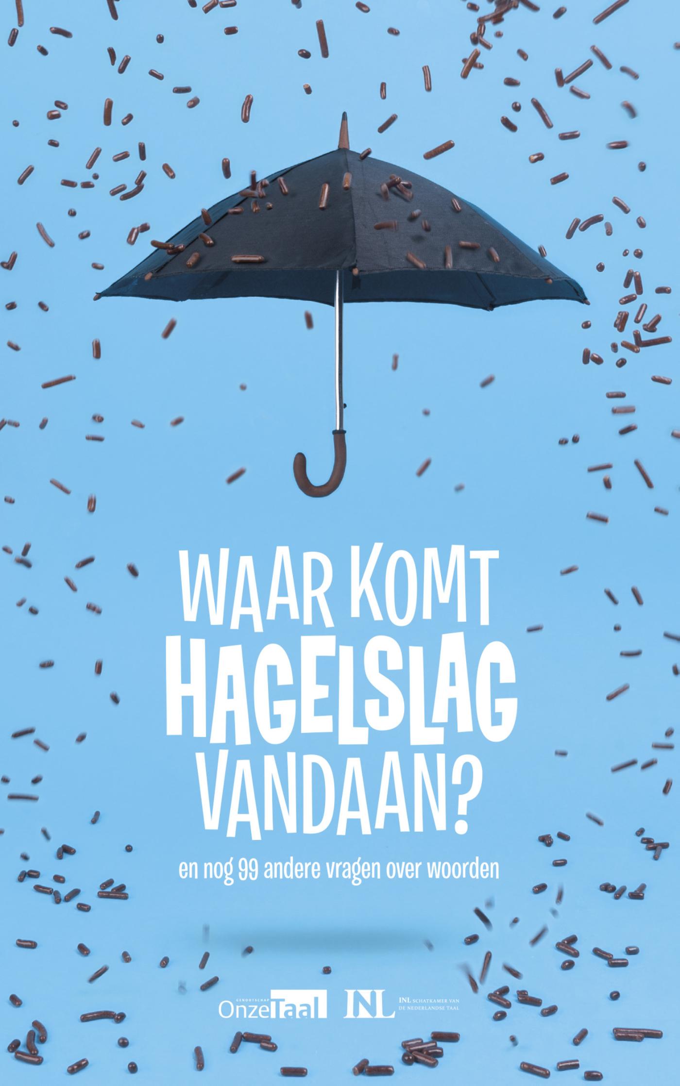 Omslag van Waar komt hagelslag vandaan?