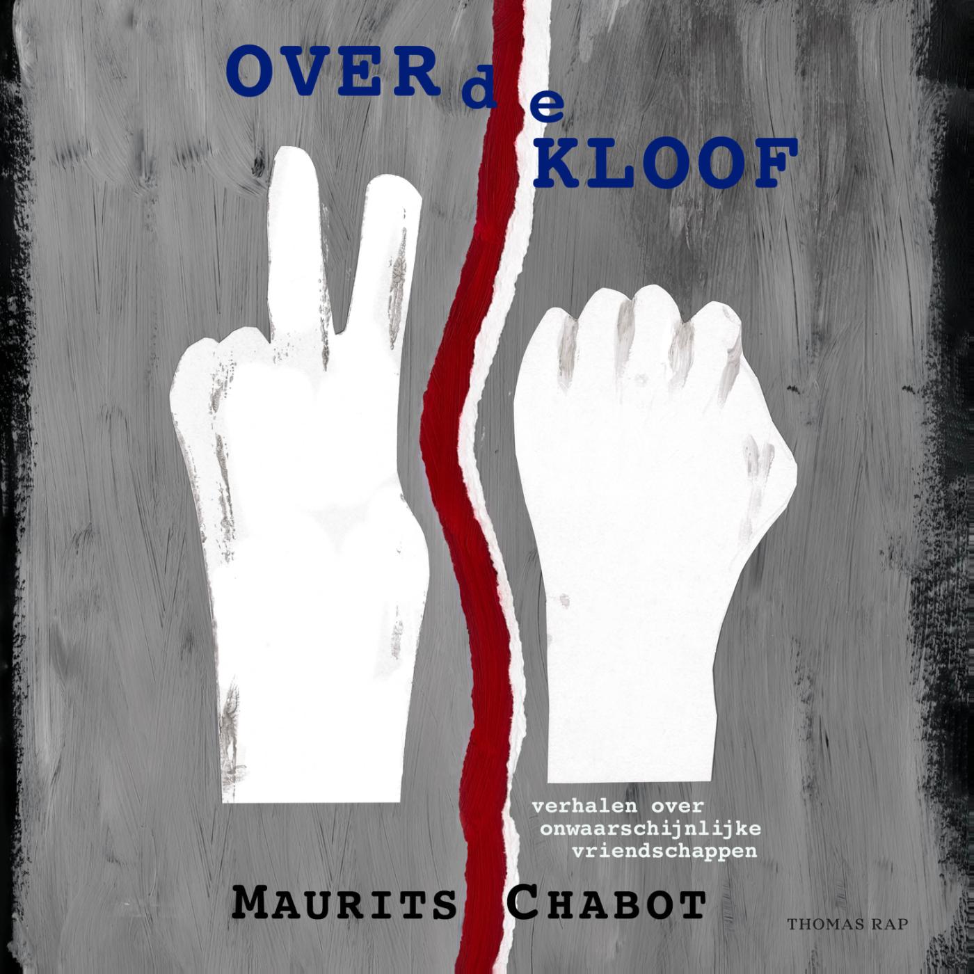 Omslag van Over de kloof