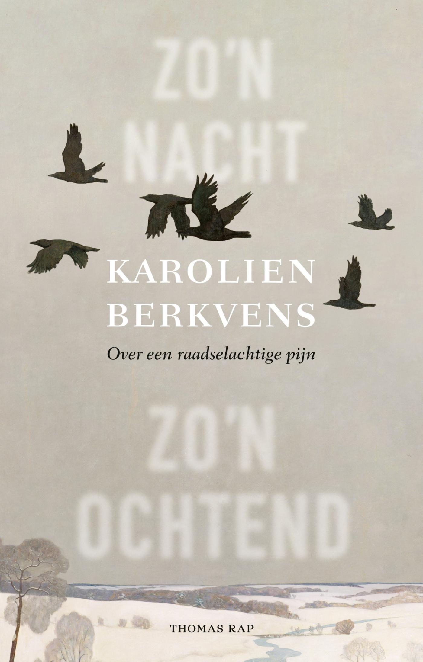 Omslag van Zo’n nacht, zo’n ochtend