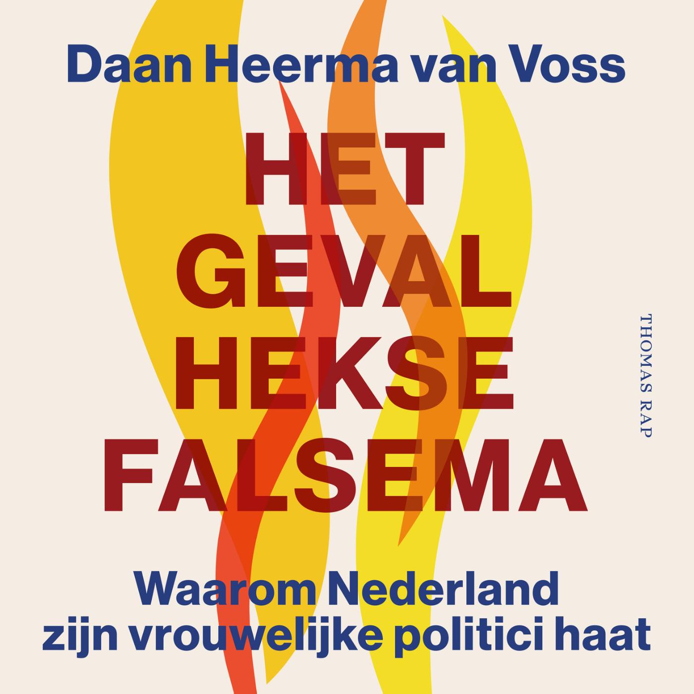 Omslag van Het geval Hekse Falsema