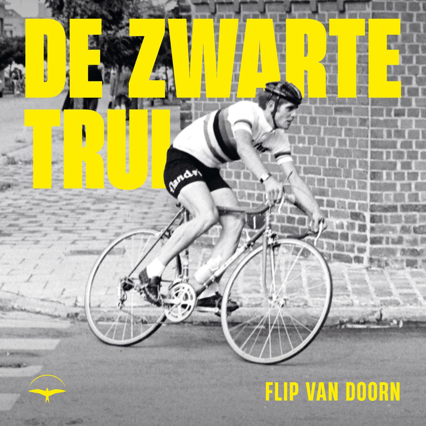 Omslag van De zwarte trui