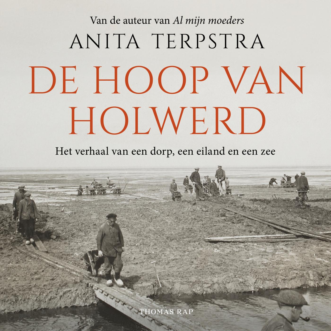 Omslag van De hoop van Holwerd