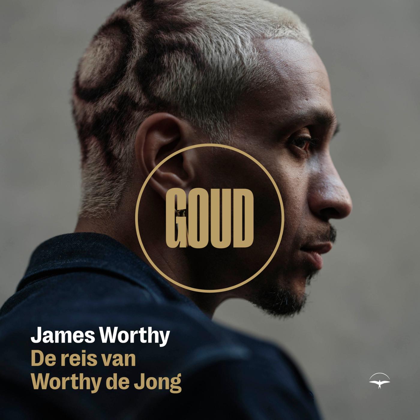 Omslag van Goud