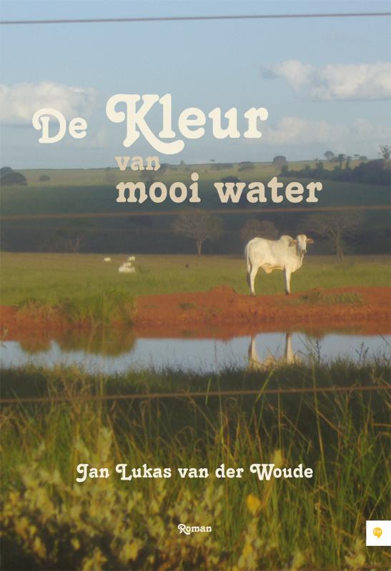 Omslag van De kleur van mooi water
