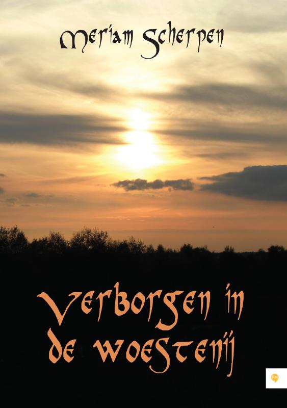 Omslag van Verborgen in de woestenij