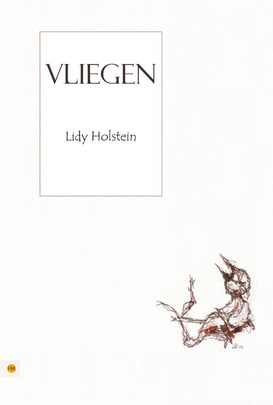 Omslag van Vliegen
