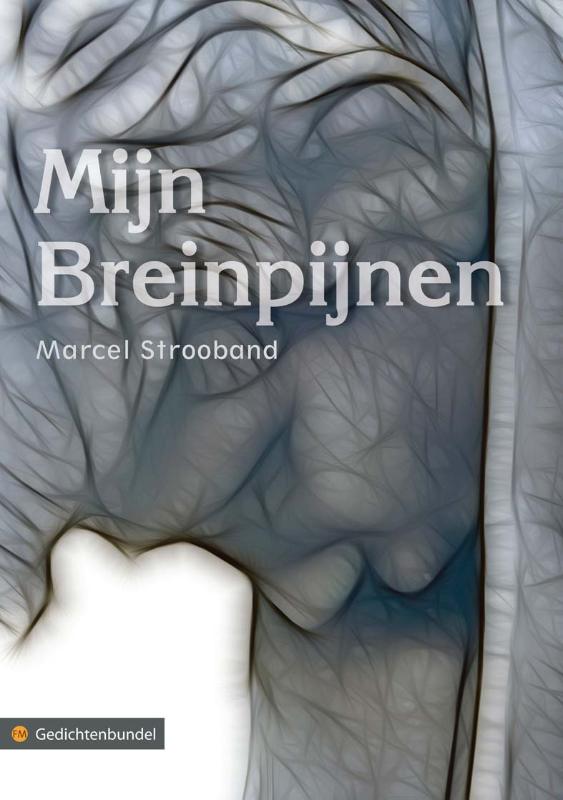 Omslag van Mijn breinpijnen
