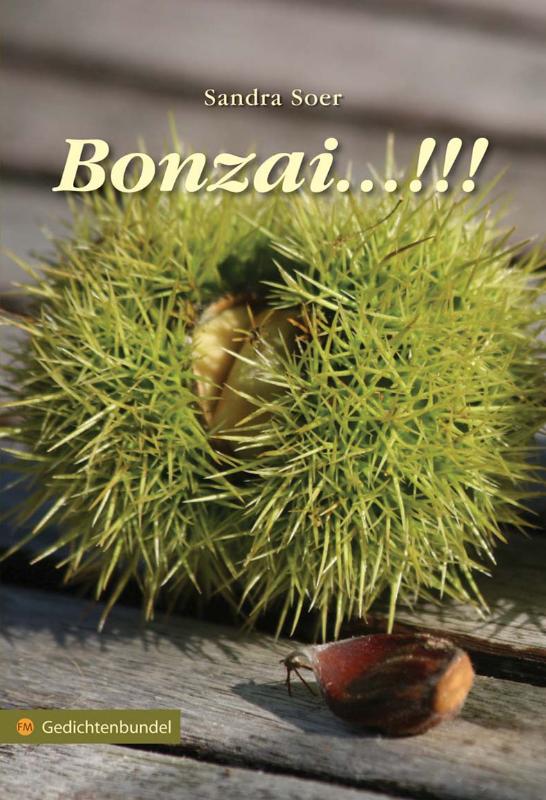 Omslag van Bonzai...!!!