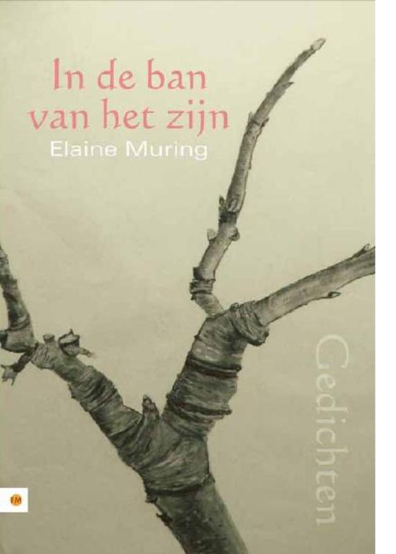 Omslag van In de ban van het zijn
