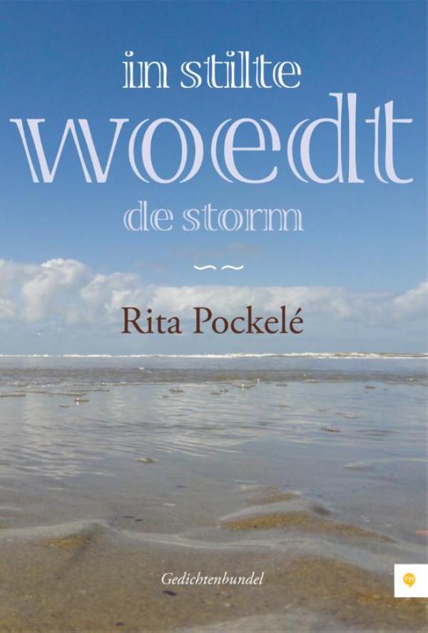 Omslag van In stilte woedt de storm
