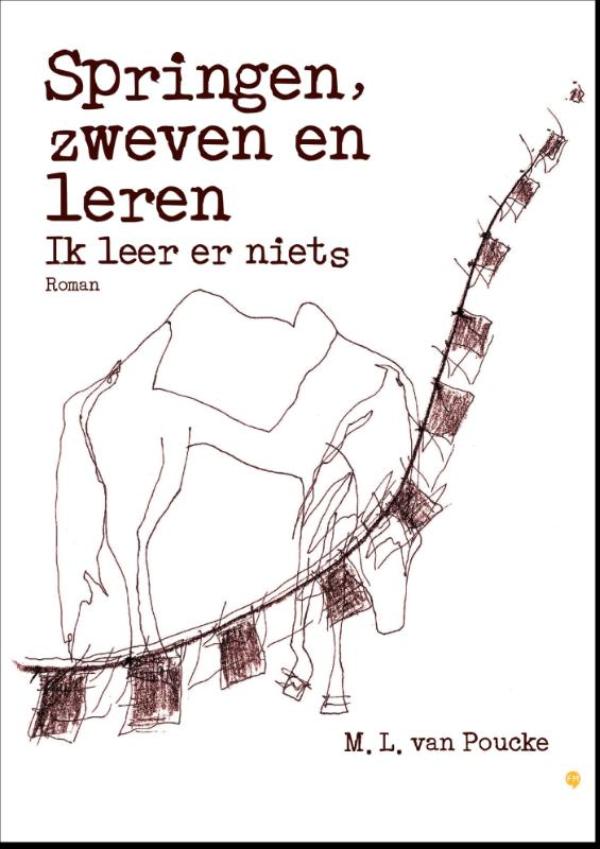 Omslag van Springen, zweven en leren