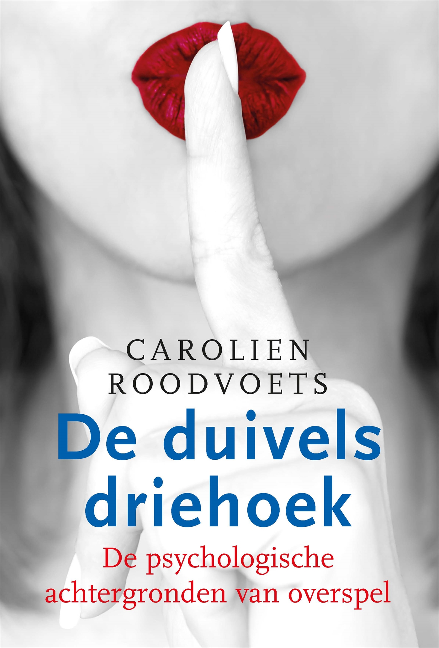 Omslag van De duivelsdriehoek
