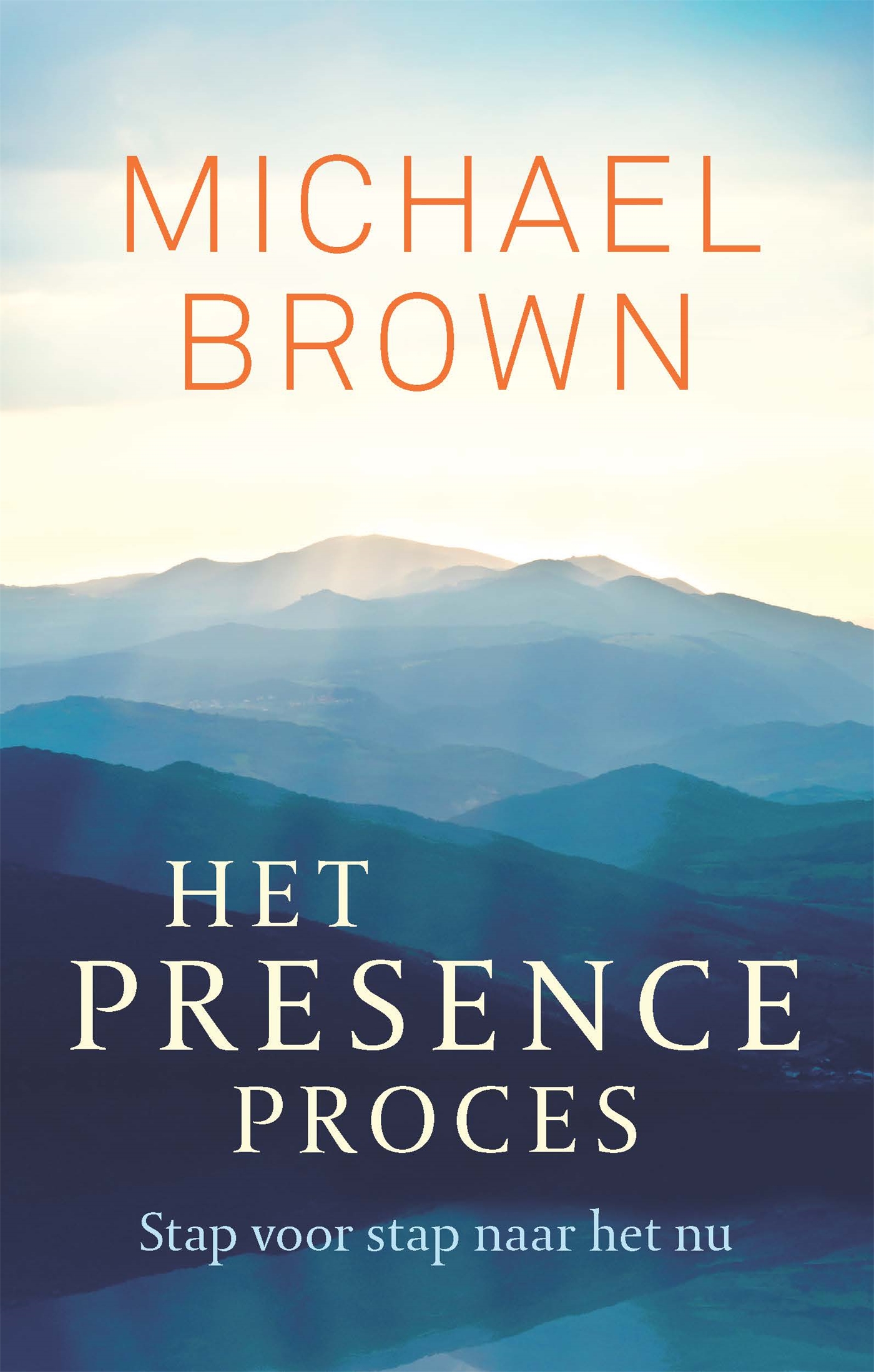Omslag van Het presence-proces