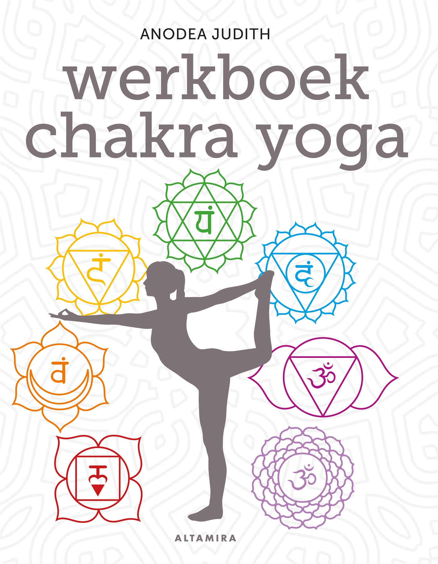 Omslag van Werkboek chakra yoga