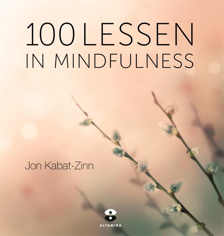 Omslag van 100 lessen in mindfulness