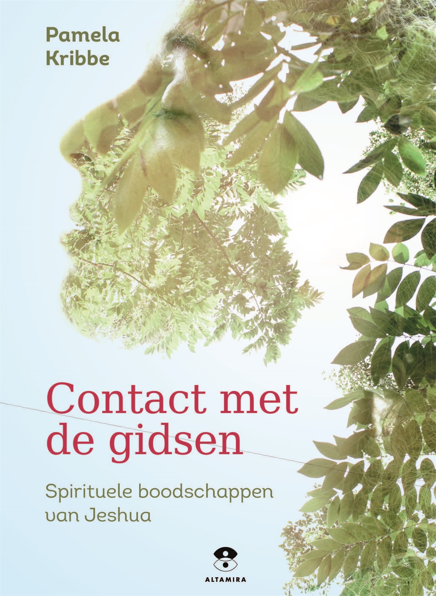 Omslag van Contact met spirituele gidsen