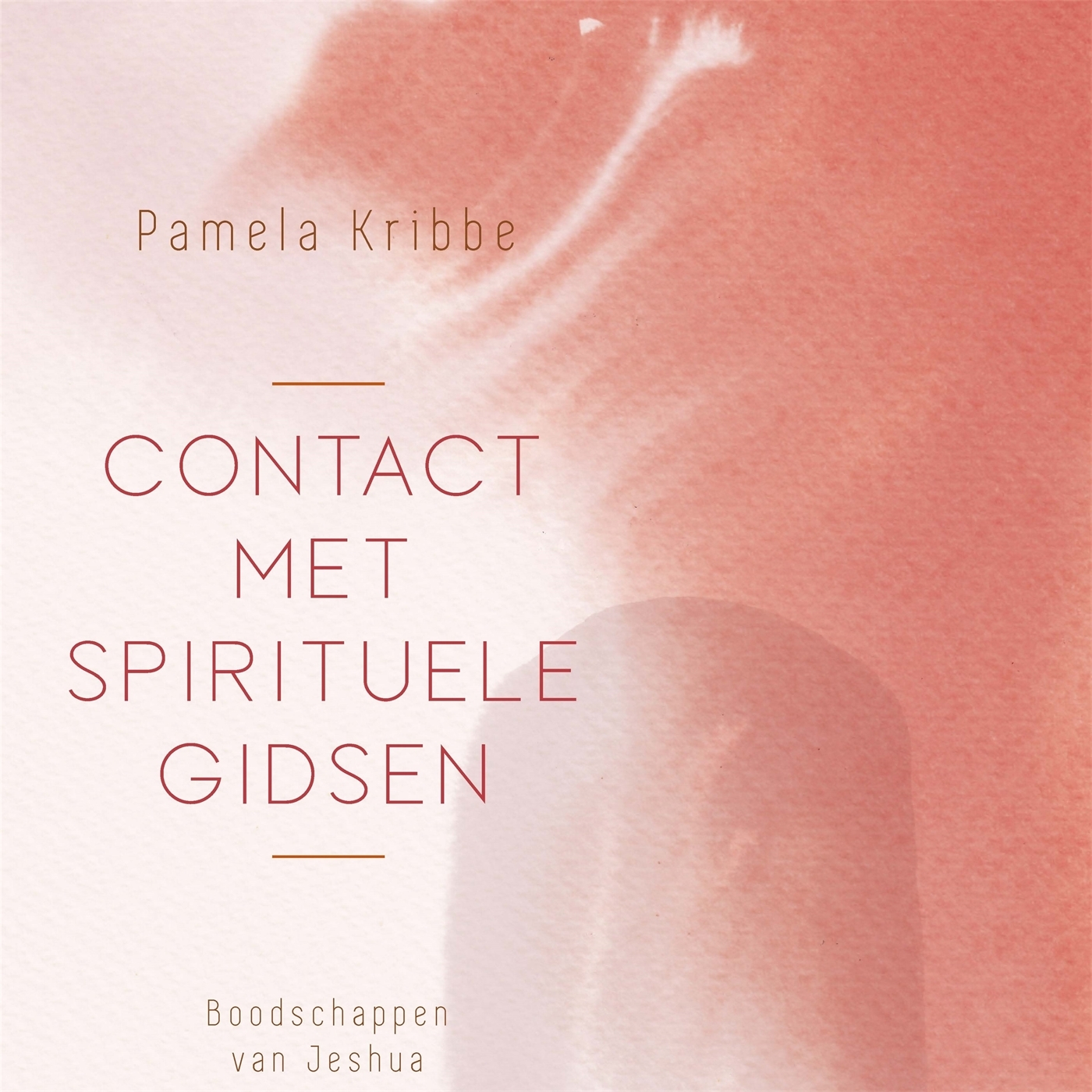 Omslag van Contact met spirituele gidsen