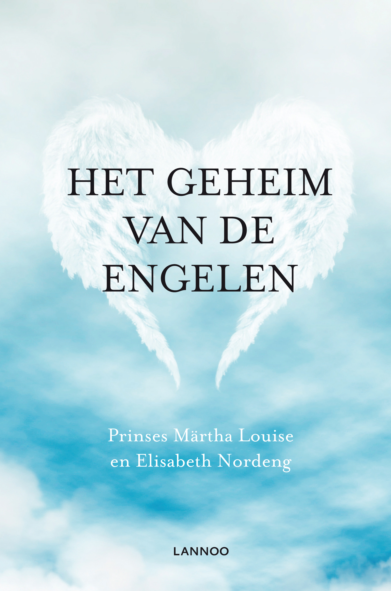 Omslag van Het geheim van de engelen