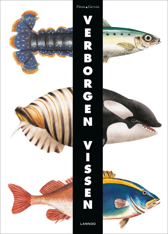 Omslag van Verborgen vissen