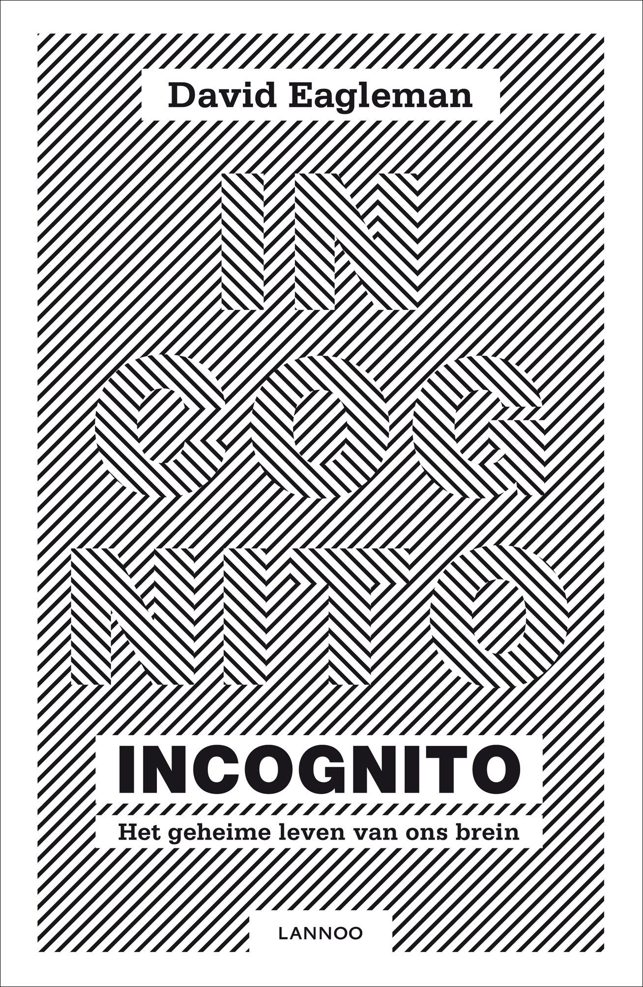 Omslag van Incognito