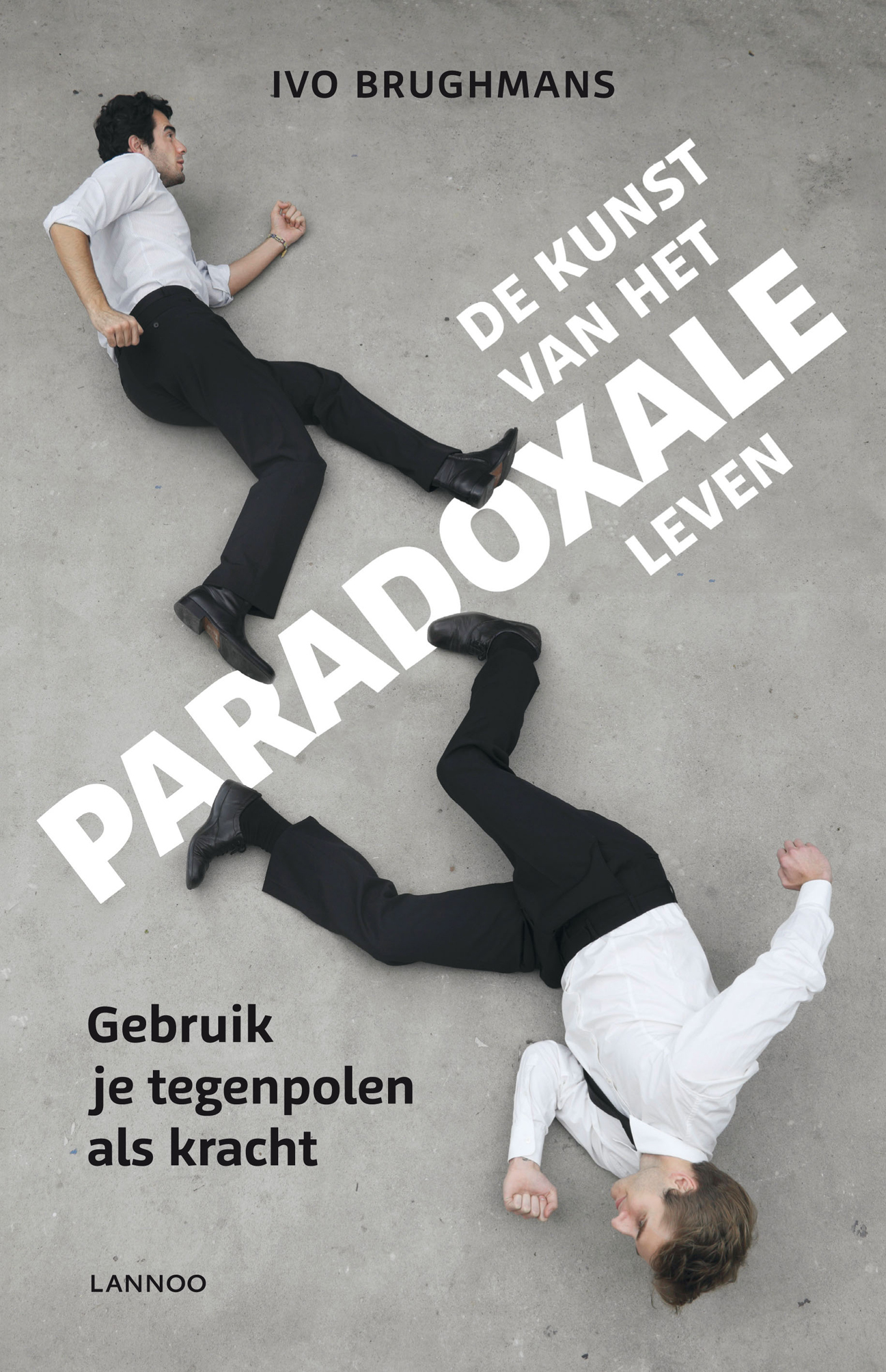 Omslag van De kunst van het paradoxale leven