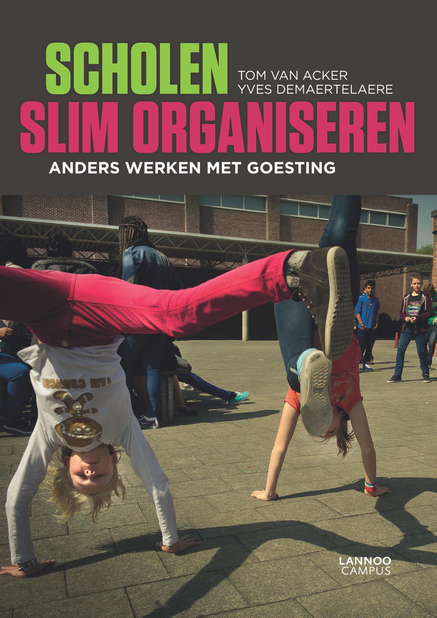 Omslag van Scholen slim organiseren