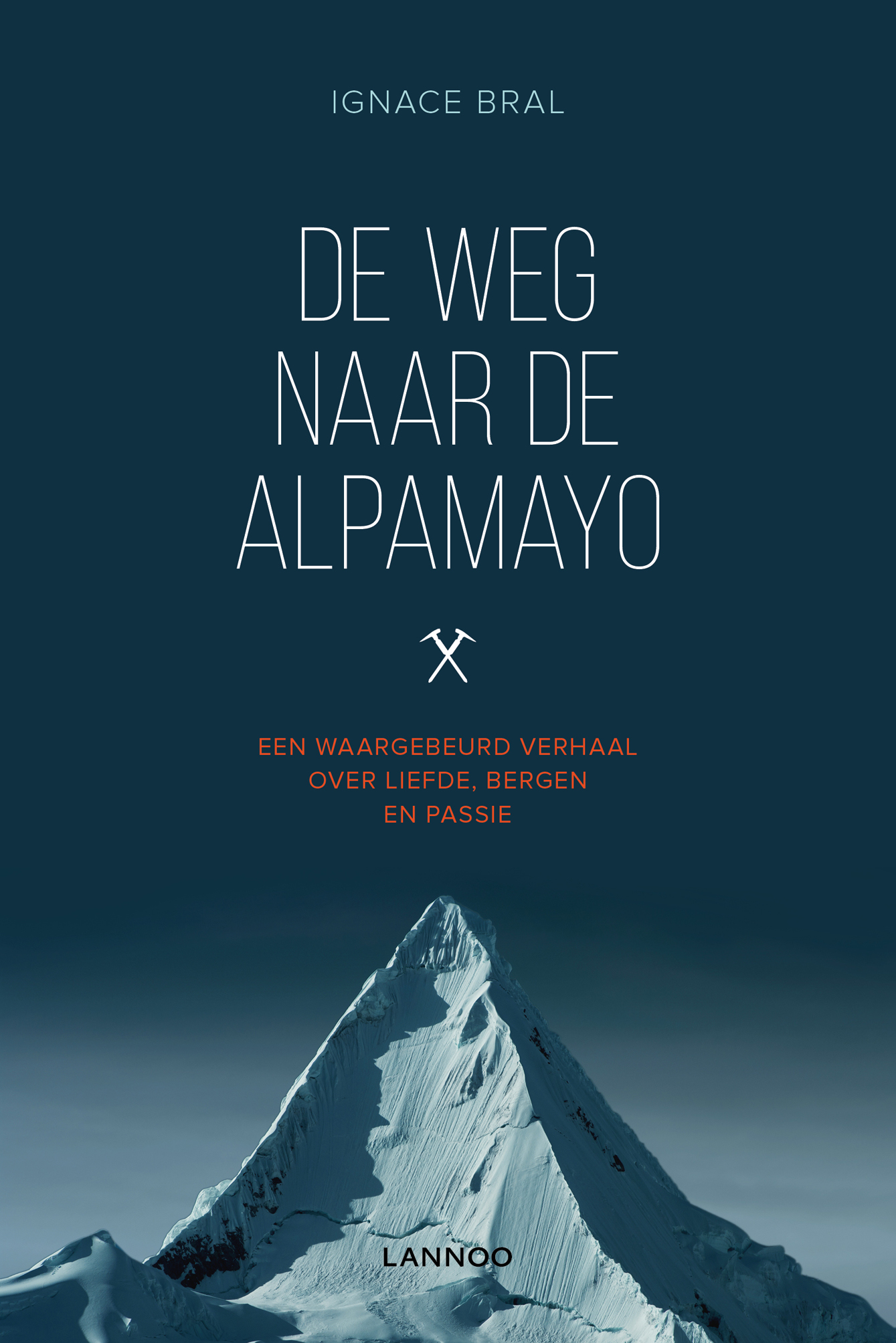 Omslag van De weg naar Alpamayo