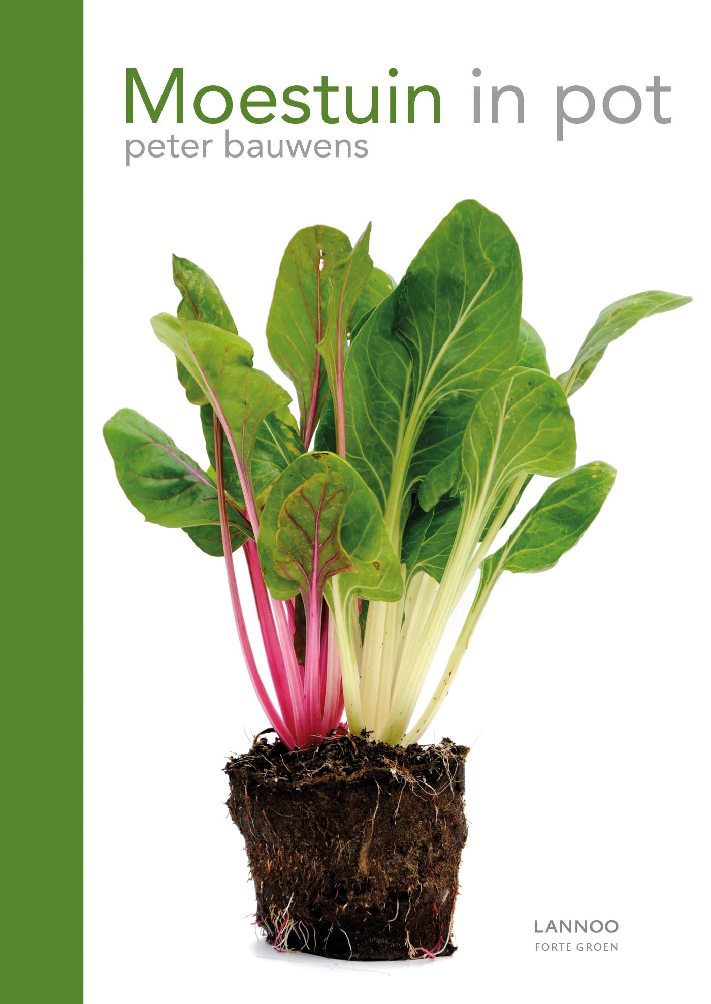 Omslag van Moestuin in pot