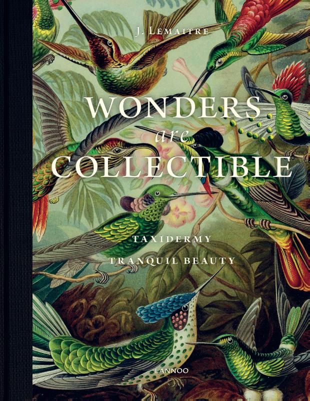 Omslag van Wonders are collectible