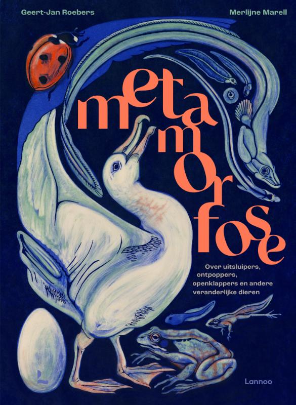 Omslag van Metamorfose