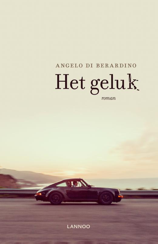 Omslag van Het geluk