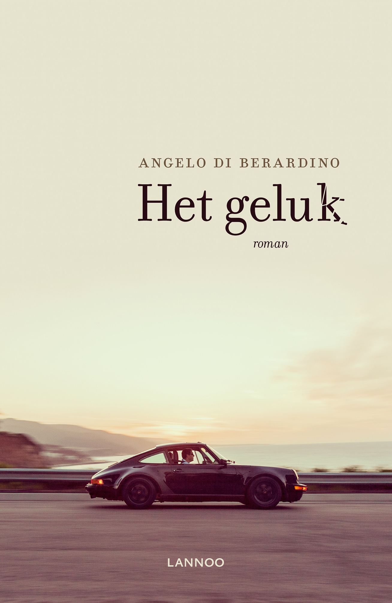 Omslag van Het geluk