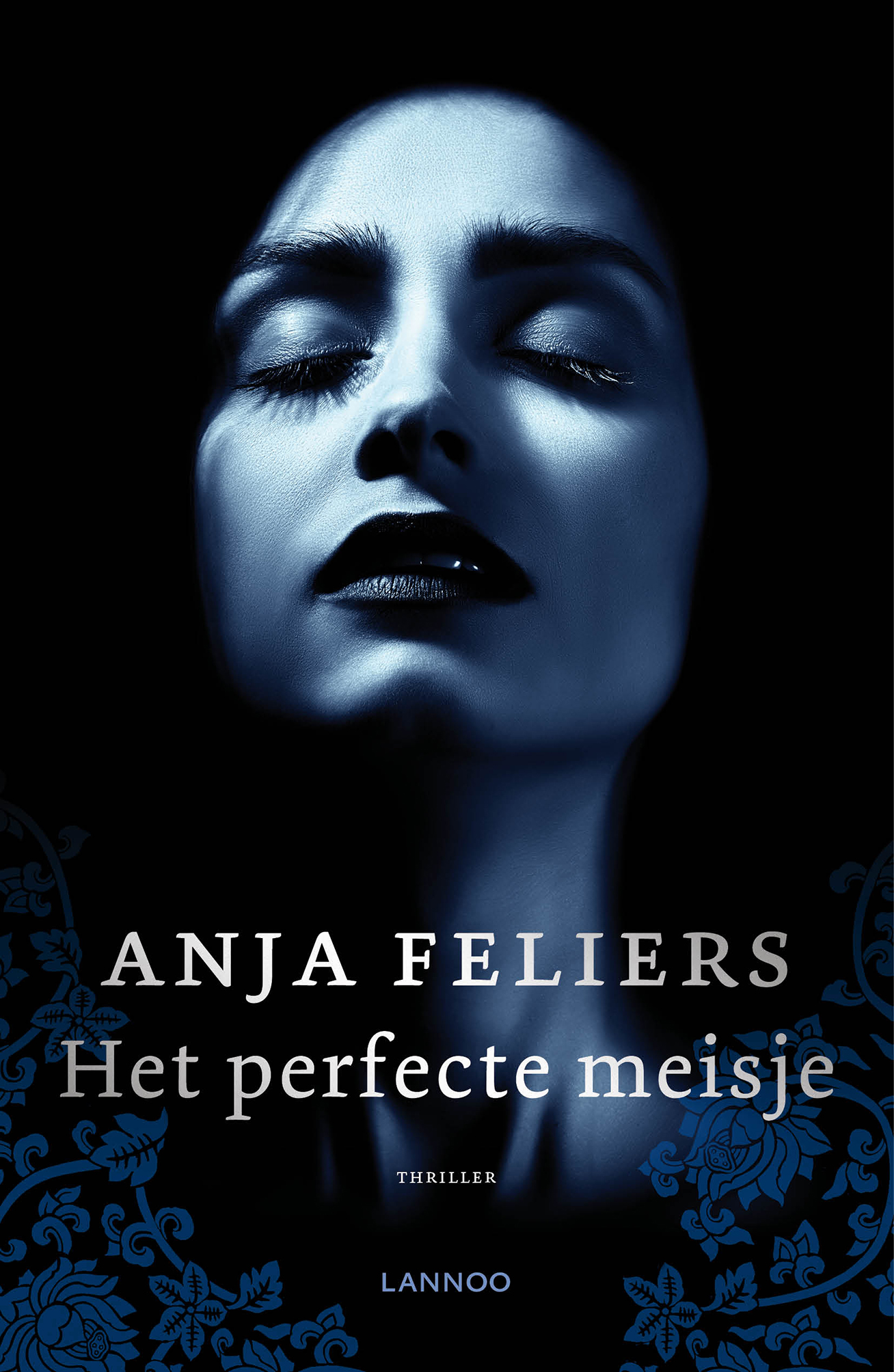 Omslag van Het perfecte meisje