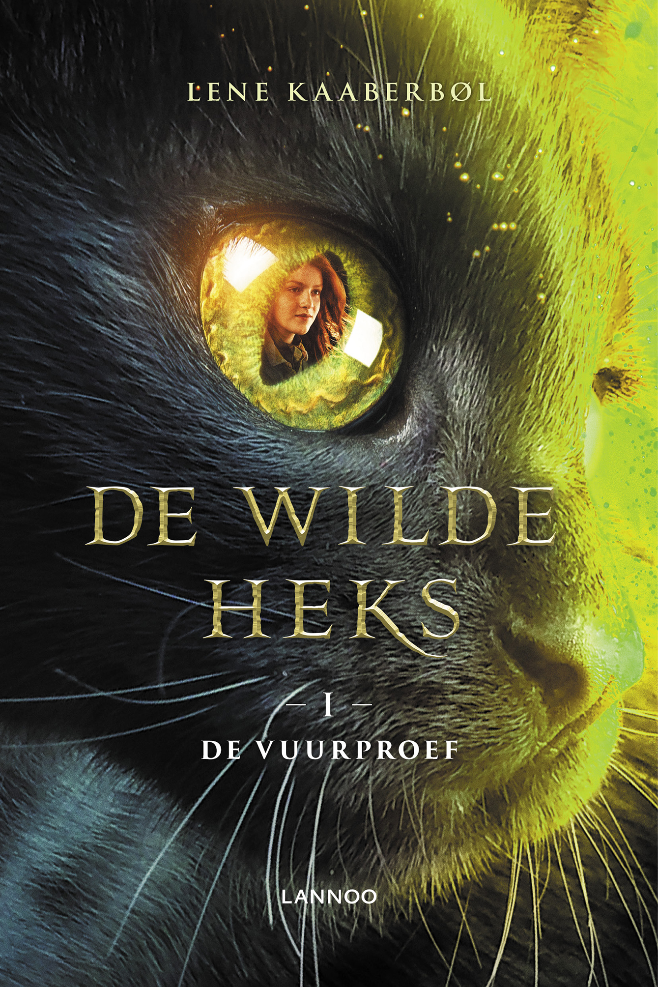 Omslag van De vuurproef