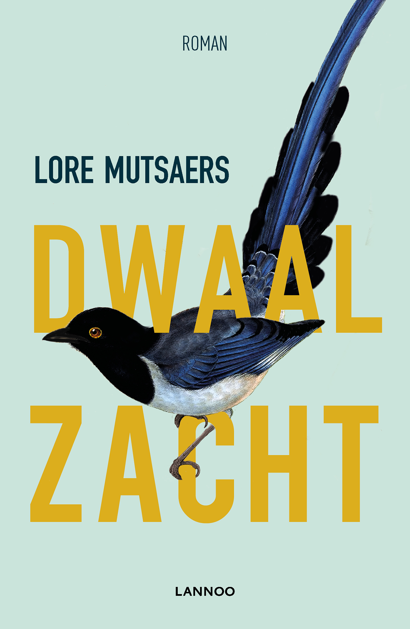 Omslag van Dwaal zacht