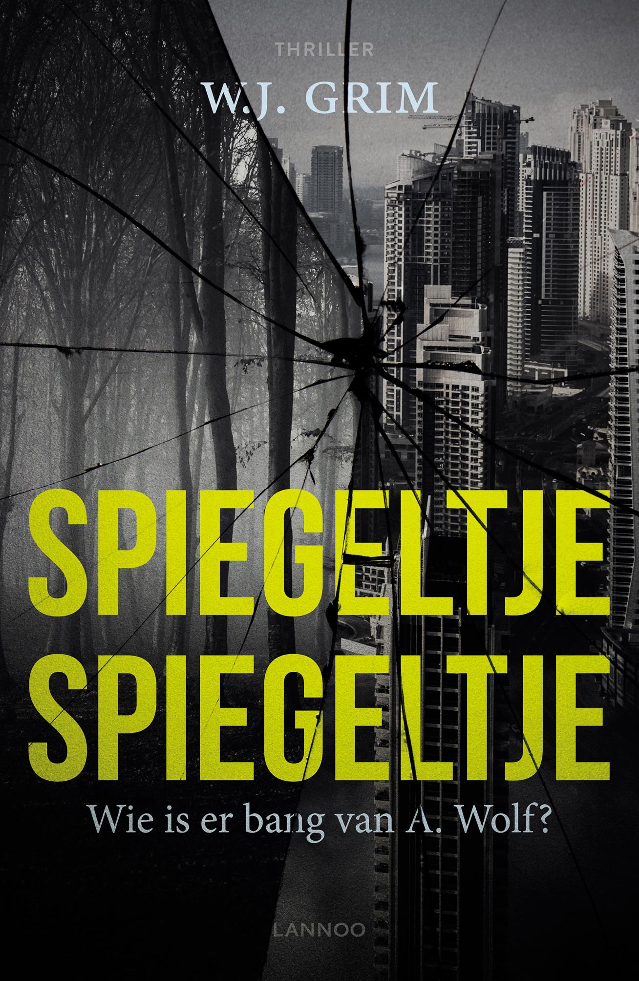 Omslag van Spiegeltje, spiegeltje
