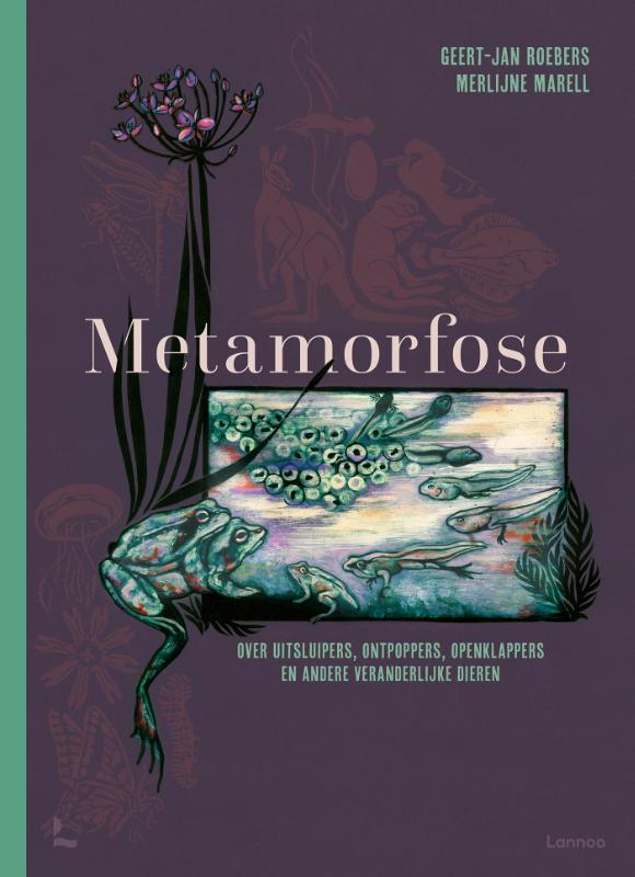 Omslag van Metamorfose