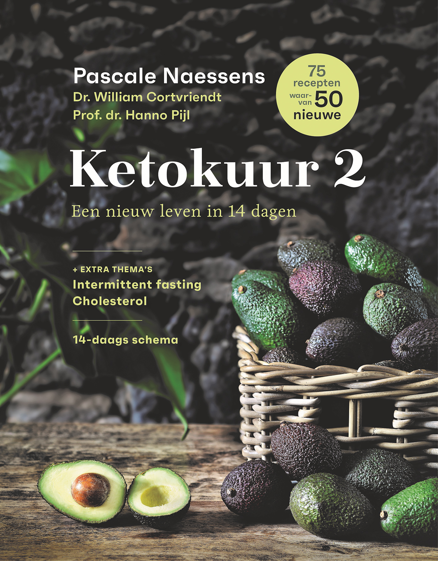 Omslag van Ketokuur 2