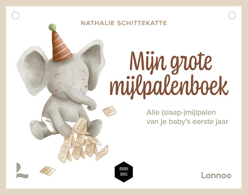 Omslag van Mijn grote mijlpalenboek