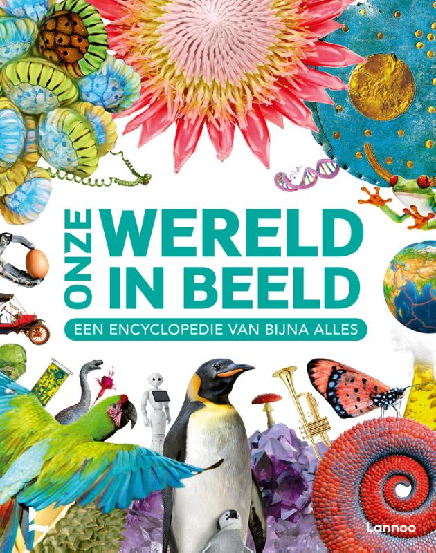 Omslag van Onze wereld in beeld