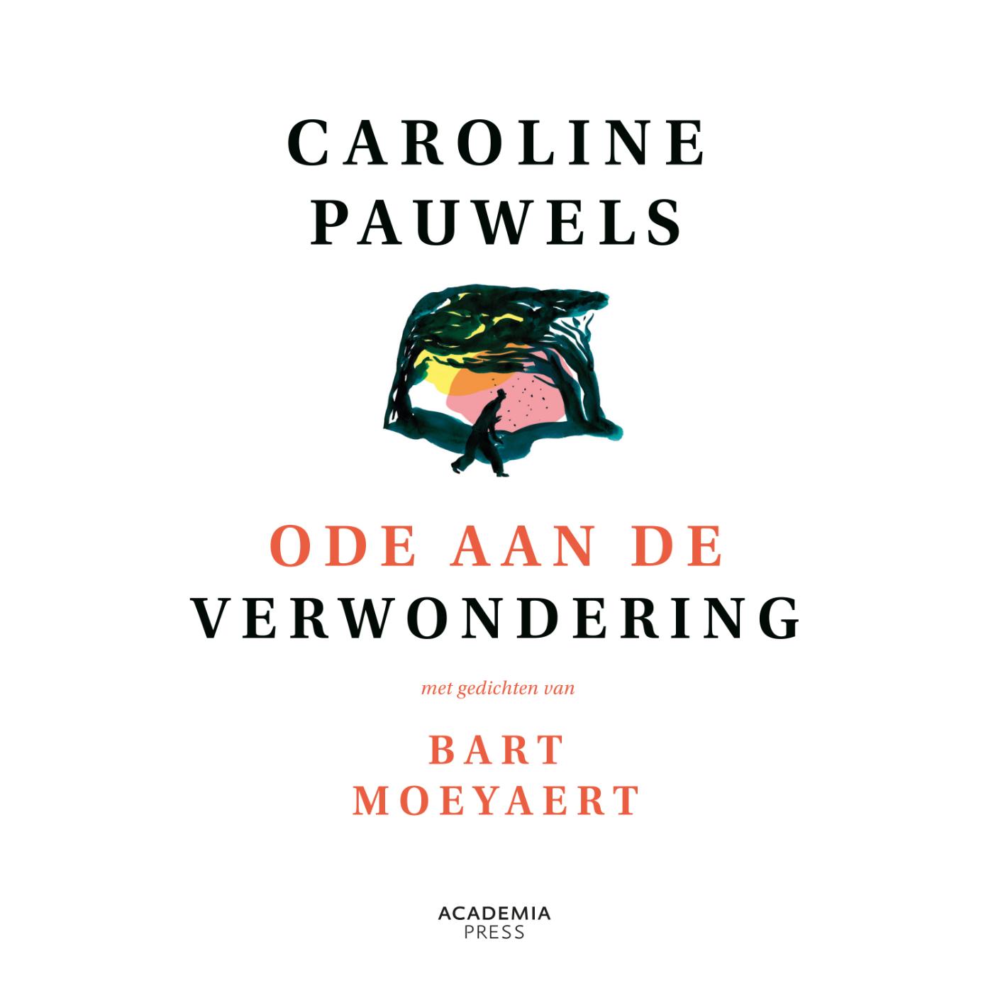 Omslag van Ode aan de verwondering